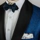 The Sapphire Tuxedo